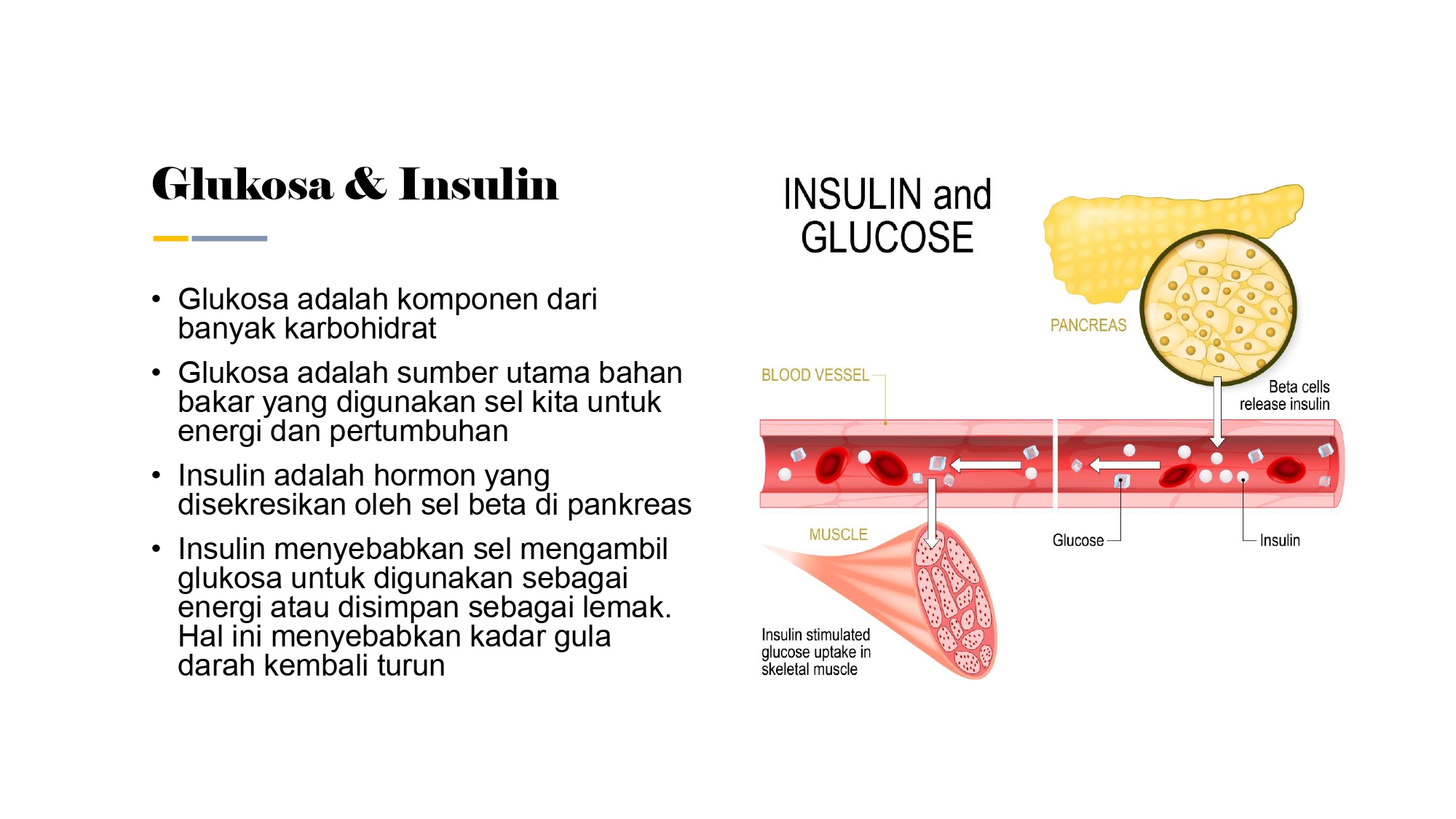 Education content image